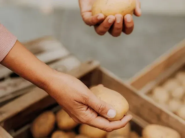 Corso di cucina con le castagne KASTANIE – Castagne, zucca e patate