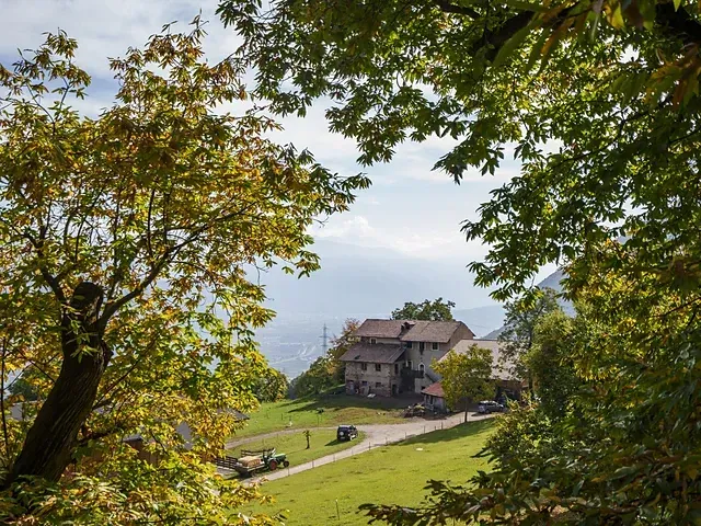 Tourismusverein Tisens-Prissian Boschetto di castagni, castagne arrostite e merenda