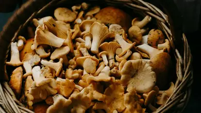 Cestino con funghi
