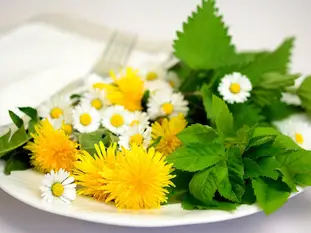Delizie verdi - erbe primaverili nel piatto (TESANA) Delizie verdi - erbe primaverili nel piatto (TESANA)