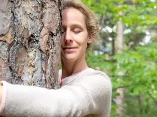 Bagni di foresta consapevoli con Berta Bagni di foresta consapevoli con Berta